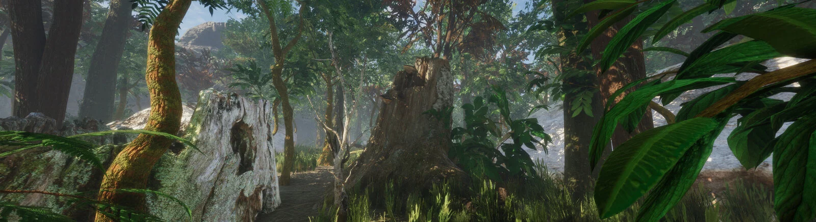 关于 Forest (1980) 的负面评价 — 0 个意见