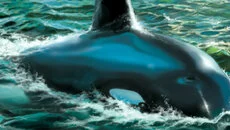 Joe Danger 类似于 Joe Danger