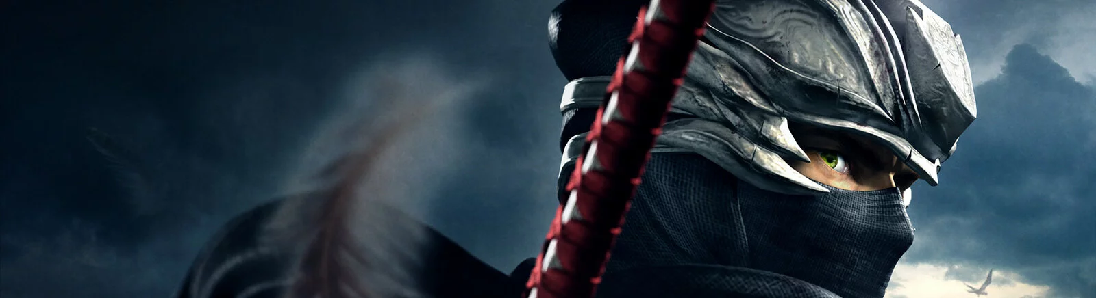 在不同国家/地区的 Ninja Gaiden 2[platforms] 上  的发行日期