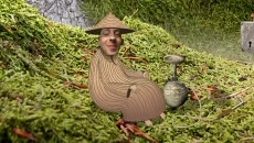 Pilgrims 类似于 Pilgrims