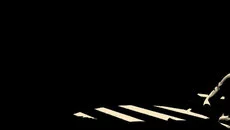 Fort Meow 类似于 Fort Meow