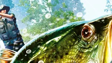 SEGA Bass Fishing - 一款体育游戏类型的游戏