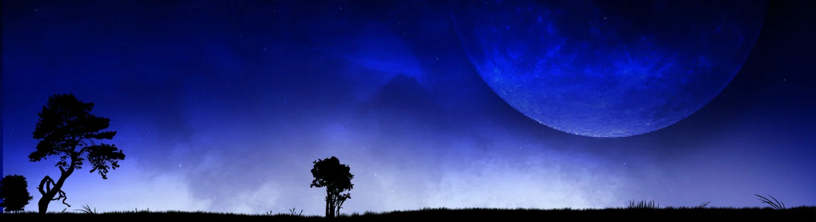 论坛 Star Sky