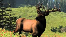 Cabela's North American Adventures - 一款体育游戏类型的游戏