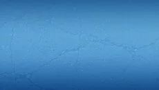 Colin McRae: DiRT 2 类似于 Colin McRae: DiRT 2