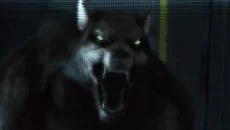 Outlast 类似于 Outlast