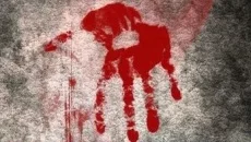 How to Survive 2 类似于 How to Survive 2