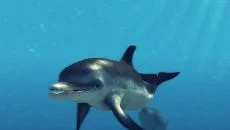 Depth Hunter 2: Deep Dive - 一款体育游戏类型的游戏