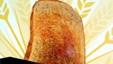 Surgeon Simulator: Experience Reality 类似于 Surgeon Simulator: Experience Reality