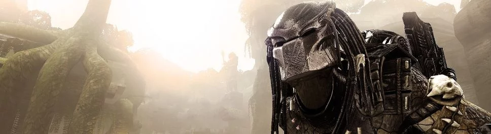 适合PC的最佳游戏[platform]，类似于Aliens vs. Predator