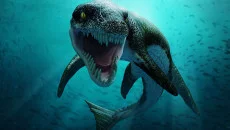 Chronos 类似于 Chronos