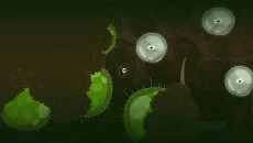 Rayman 3: Hoodlum Havoc 类似于 Rayman 3: Hoodlum Havoc