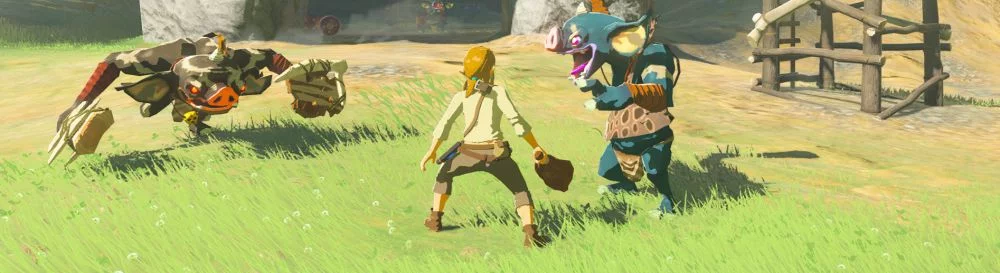 The Legend of Zelda: Breath of the Wild — Вид от первого лица [1.0] / 游戏玩法 / 模组和皮肤