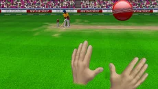 New Star Cricket - 一款板球类型的游戏