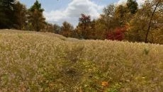 No Man's Sky 类似于 No Man's Sky