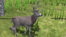 Deer Hunter Reloaded - 一款狩猎 / 钓鱼类型的游戏