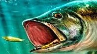 Ultimate Fishing Simulator - 一款狩猎 / 钓鱼类型的游戏
