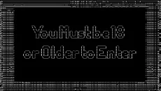 You Must be 18 or Older to Enter - 一款成人游戏类型的游戏