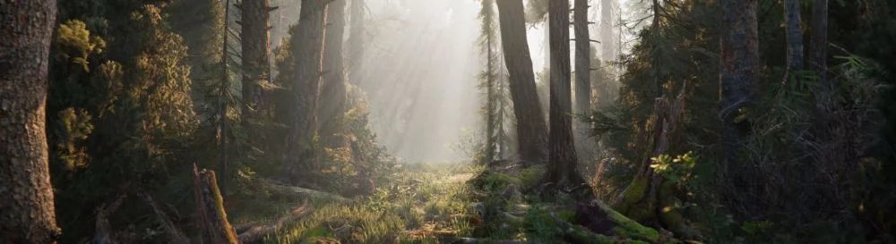 在不同国家/地区的 Book of the Dead[platforms] 上  的发行日期