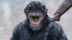 Apex Construct 类似于 Apex Construct