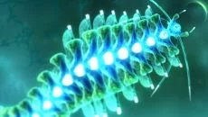 Sparkle 类似于 Sparkle