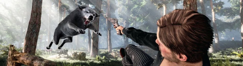 适合iOS的最佳游戏[platform]，类似于Dead Man&#039;s Country