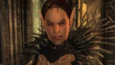 The Elder Scrolls: Blades 类似于 The Elder Scrolls: Blades