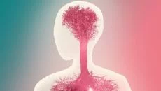 Bridge Constructor Portal 类似于 Bridge Constructor Portal