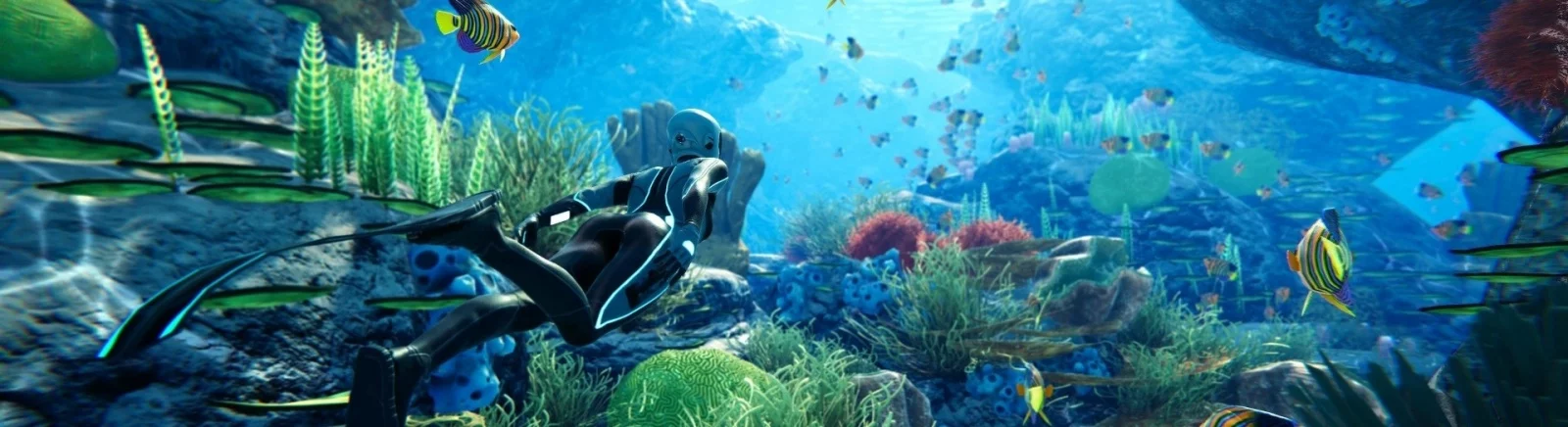 关于 Beyond Blue 的混合评价 — 0 个意见