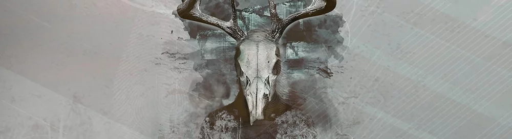 论坛 Intruders: Hide and Seek