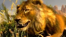Cabela's Hunting Expeditions - 一款狩猎 / 钓鱼类型的游戏