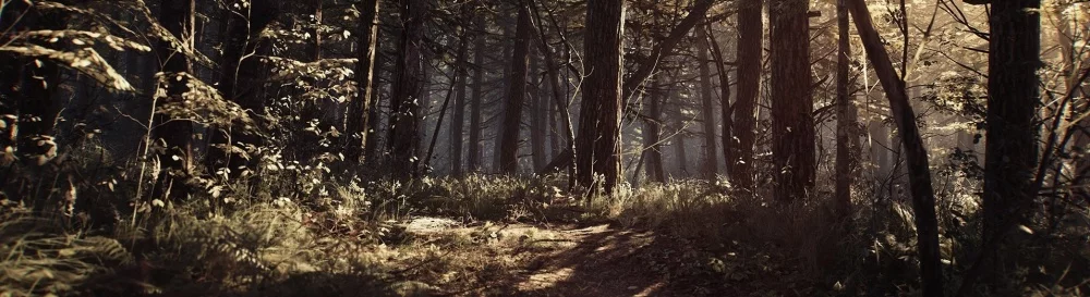 所有关于 Blair Witch 的评论和评分 — 4 个意见