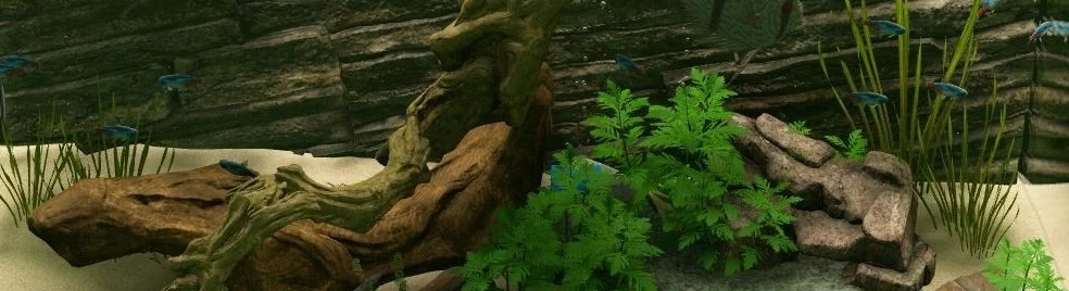 在不同国家/地区的 Biotope[platforms] 上  的发行日期