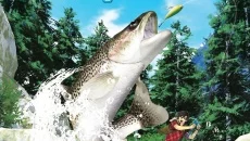 Ultimate Fishing Simulator 类似于 Ultimate Fishing Simulator