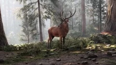 The Last Caretaker 类似于 The Last Caretaker