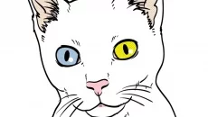 Play With Gilbert - A Small Tail 类似于 Play With Gilbert - A Small Tail