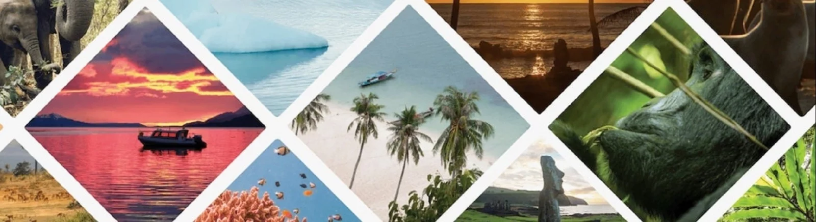 关于 Wanderlust: Transsiberian 的混合评价 — 0 个意见