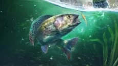 Ultimate Fishing Simulator 2 - 一款体育游戏类型的游戏