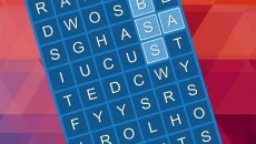Words All Around PRO - 一款教育游戏(教育)类型的游戏