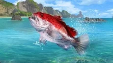 Fishing Clash - 一款狩猎 / 钓鱼类型的游戏