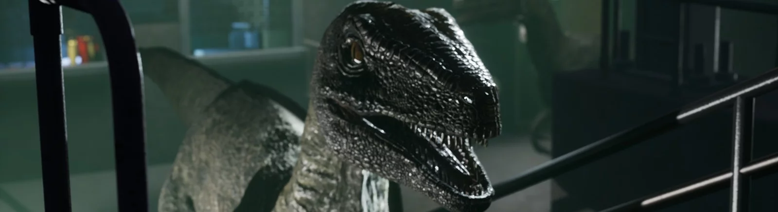 在不同国家/地区的 Deathground[platforms] 上  的发行日期