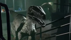 Second Extinction 类似于 Second Extinction