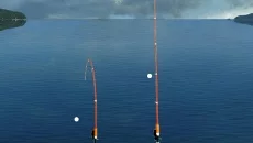 True Fishing - 一款狩猎 / 钓鱼类型的游戏