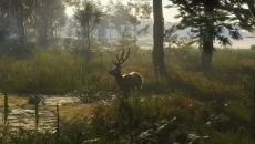 theHunter: Call of the Wild - theHunter: Call of the Wild 的扩展