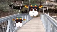 Chernobyl VR Project 类似于 Chernobyl VR Project