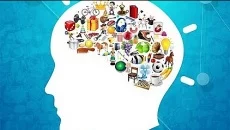Big Brain Academy 类似于 Big Brain Academy