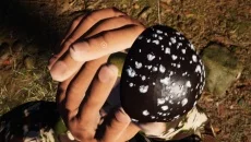 PC Building Simulator 类似于 PC Building Simulator