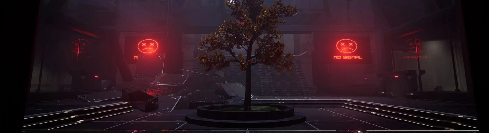 论坛 Stories of Liane