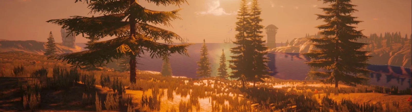 在不同国家/地区的 Wild Dose[platforms] 上  的发行日期