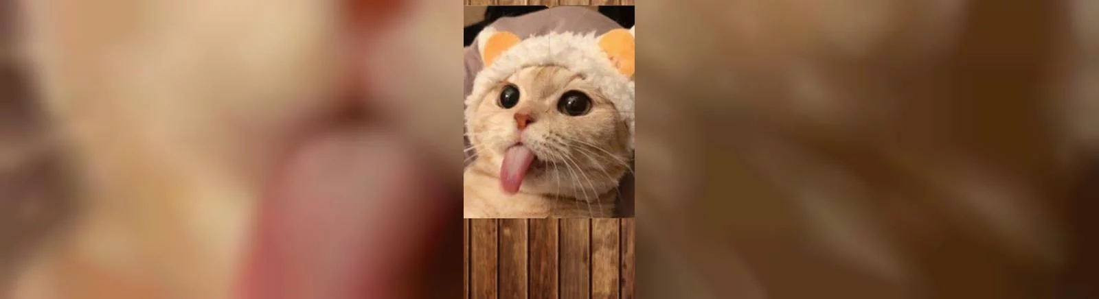 所有关于 Healing Matching Puzzle 的评论和评分 — 0 个意见